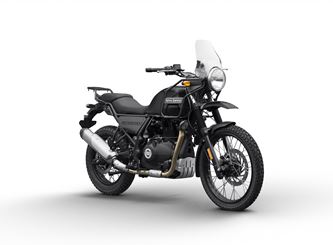 Afbeelding voor categorie HIMALAYAN