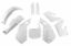 Afbeeldingen van UFO FULL KIT HONDA WHITE - CR 125 1998-1999 / CR 250 1997-1999