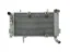 Afbeeldingen van RADIATOR LTZ400 09-13