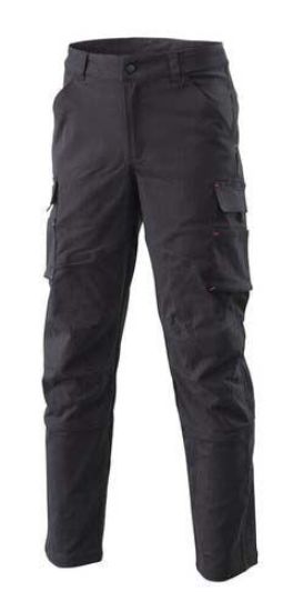 Picture of MECHANIC PANTS L