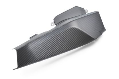 Picture of Swingarm protection