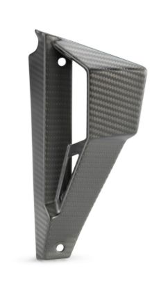 Afbeeldingen van Winglet right carbon cmpl.