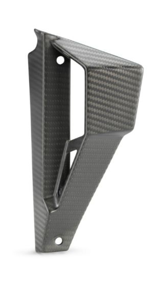 Afbeeldingen van Winglet right carbon cmpl.