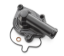 Picture of 125-300 SX/EXC 23-27 WATER PUMP COVER